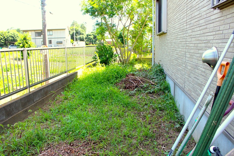 伐採・雑草処理